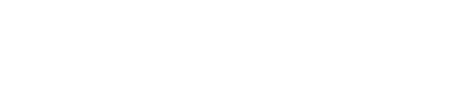 assets/img/partner/Nachi.png